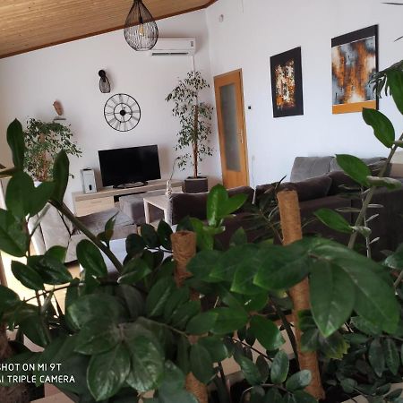 Apartment Burich Μακάρσκα Εξωτερικό φωτογραφία